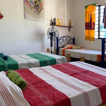 Casa El Mundo Pansiyon Oaxaca Dış mekan fotoğraf