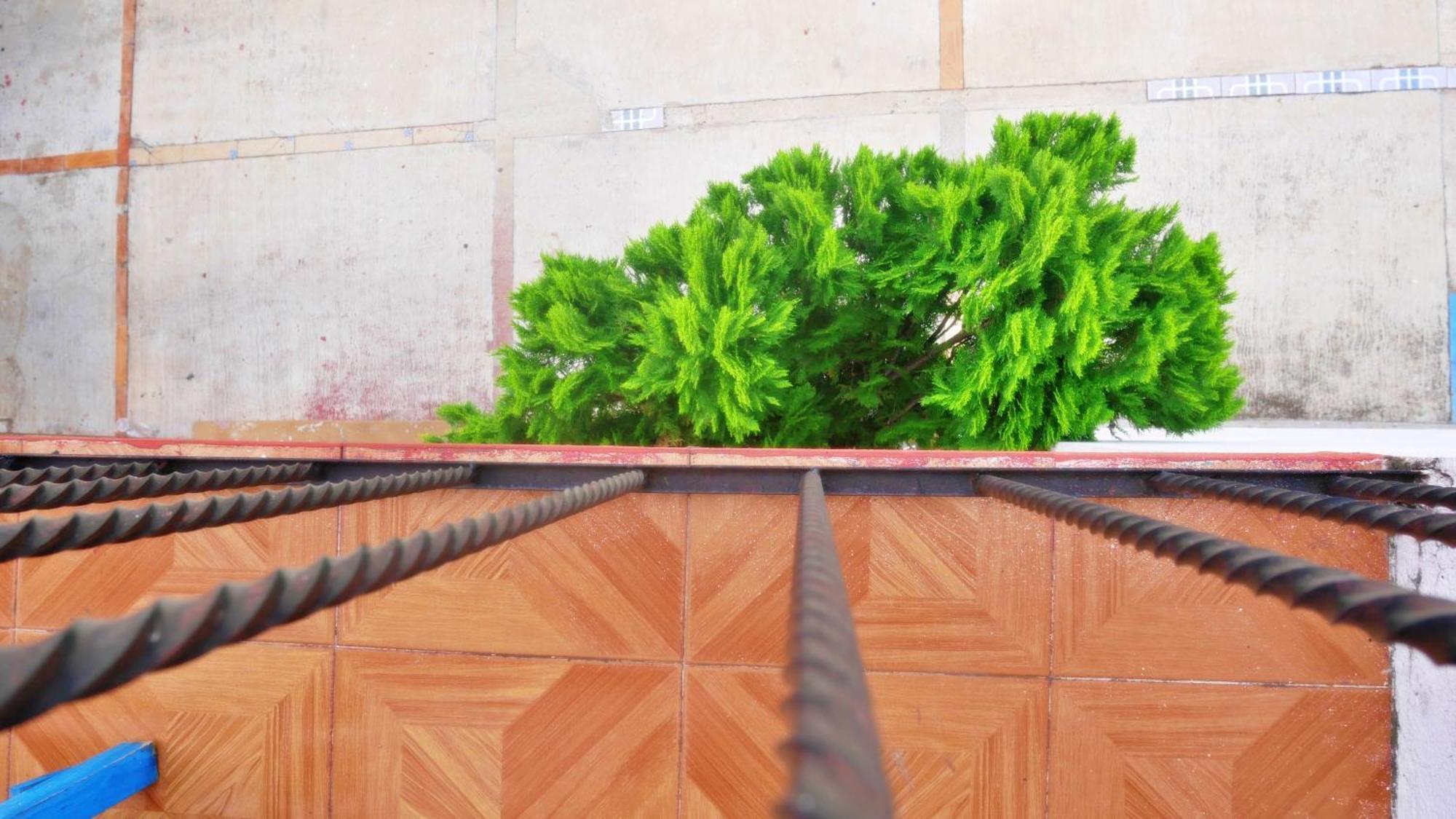 Casa El Mundo Pansiyon Oaxaca Dış mekan fotoğraf
