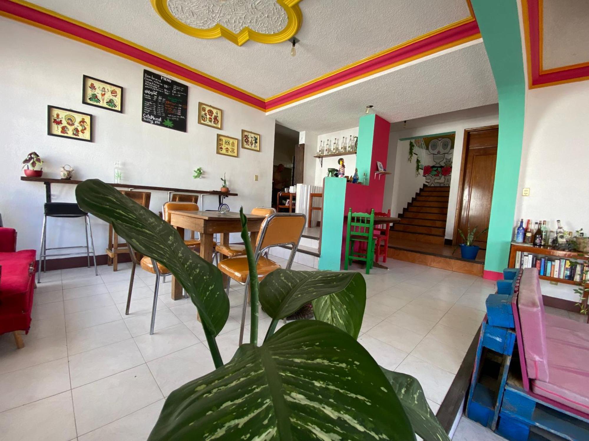 Casa El Mundo Pansiyon Oaxaca Dış mekan fotoğraf