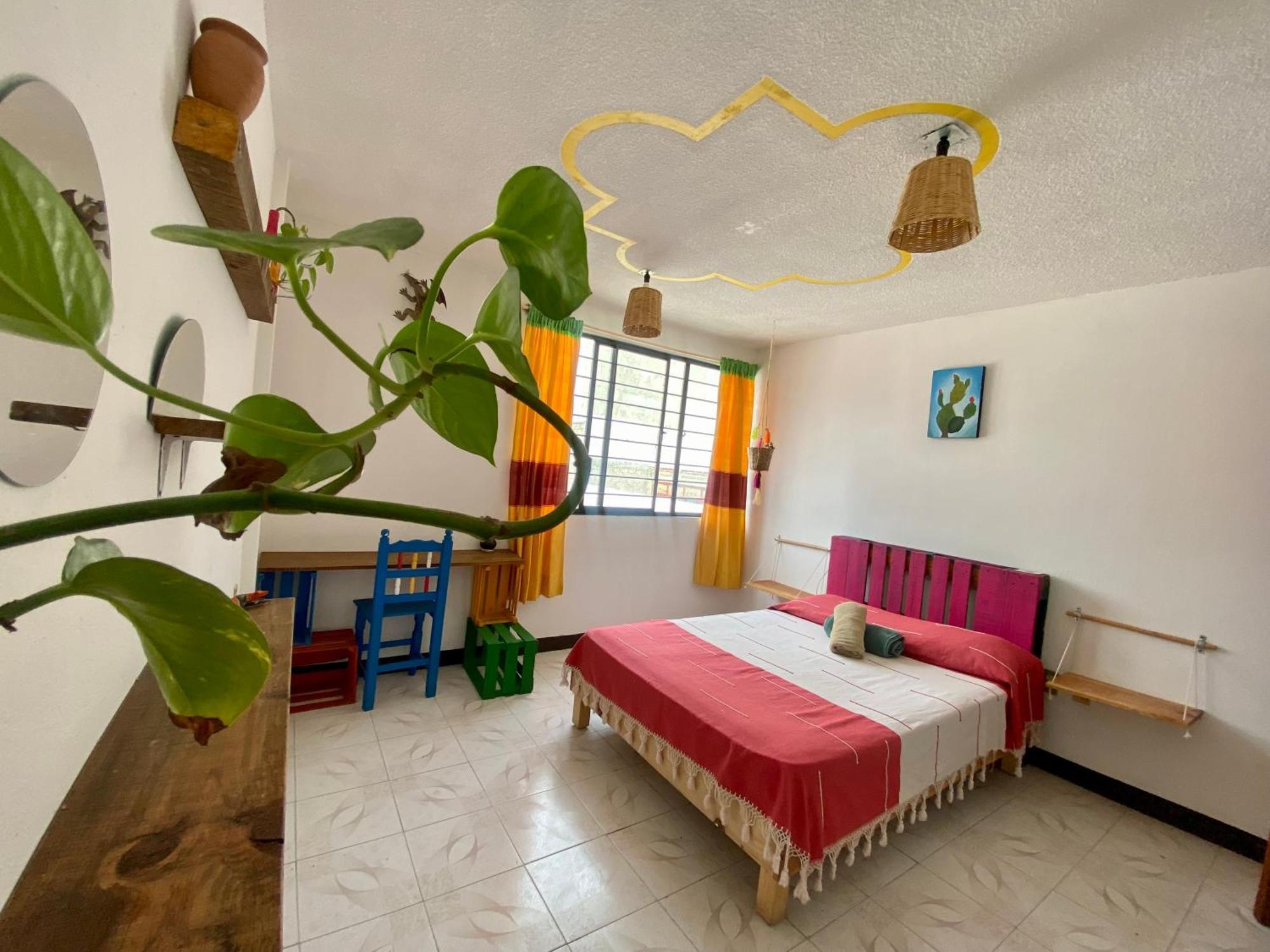 Casa El Mundo Pansiyon Oaxaca Dış mekan fotoğraf