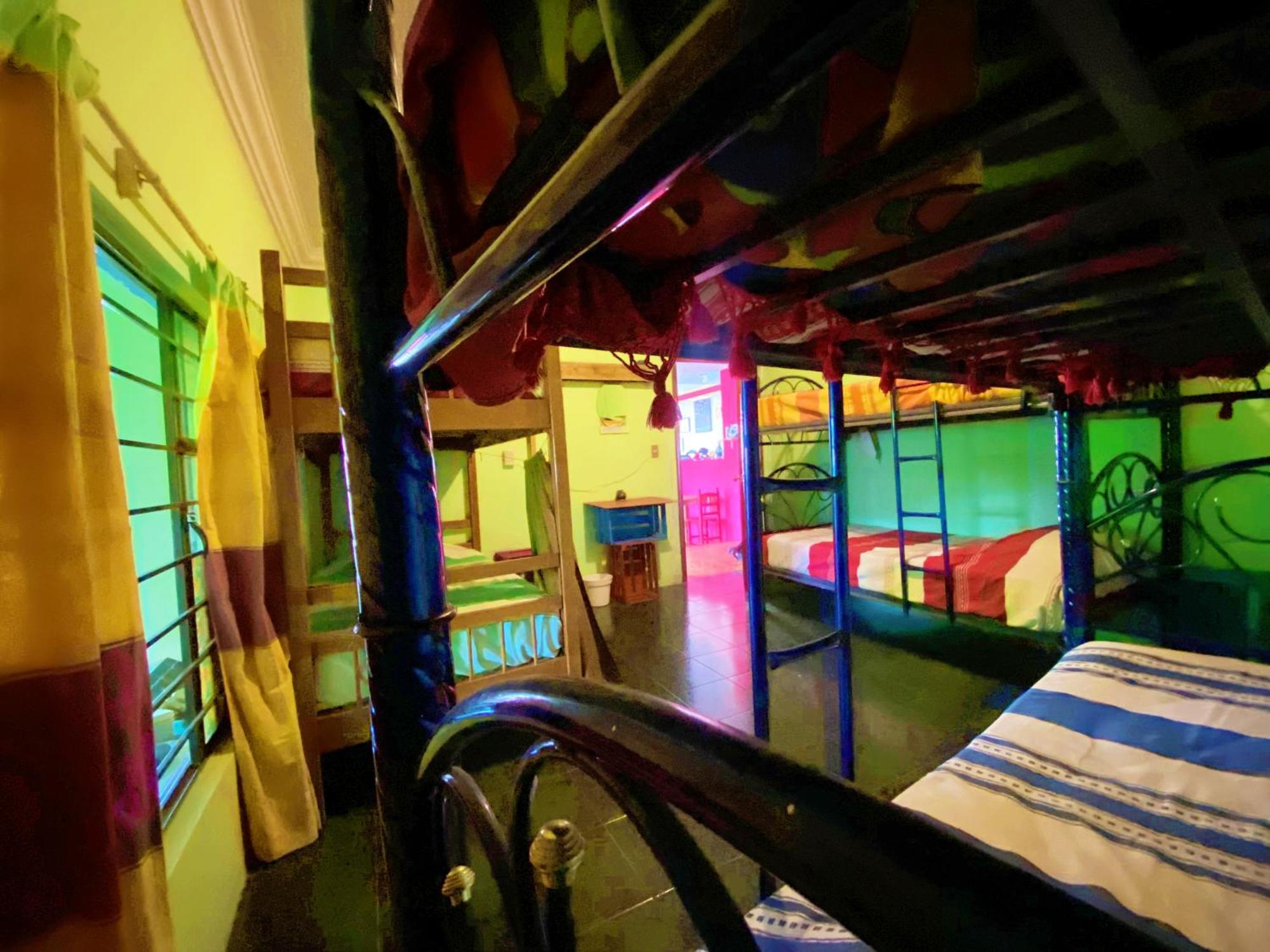 Casa El Mundo Pansiyon Oaxaca Dış mekan fotoğraf