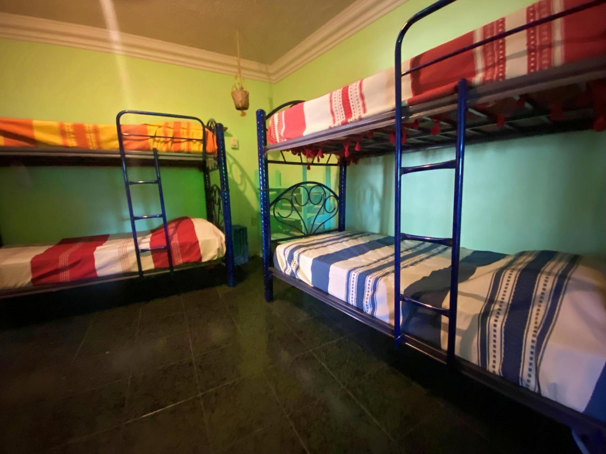 Casa El Mundo Pansiyon Oaxaca Dış mekan fotoğraf
